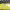 https://res.cloudinary.com/billionhands/image/upload/v1781343766/items/pozom8estsjik2afn73b.jpg-3cover