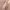 https://res.cloudinary.com/billionhands/image/upload/v1781345694/items/qbd73amqufcnobgagdhk.jpg-2cover