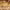 https://res.cloudinary.com/billionhands/image/upload/v1781347284/items/rd2ofo0qfcsxquzen2xd.jpg-2cover