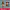 https://res.cloudinary.com/billionhands/image/upload/v1781350865/items/wwxw0ra8etachv0ujrjt.webp-2cover