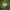 https://res.cloudinary.com/billionhands/image/upload/v1781350990/items/sl3mlvxwohz99xaprlbp.jpg-3cover