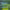 https://res.cloudinary.com/billionhands/image/upload/v1781354500/items/piknk4omhhvvto7bye7r.png-3cover