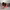 Janet Cardiff and George Bures Miller Sound Installation (Venice Biennale 2022) cover