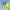 https://res.cloudinary.com/billionhands/image/upload/v1781356248/items/wuoim6ubktlbsmpswxjv.webp-0cover
