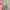 https://res.cloudinary.com/billionhands/image/upload/v1781356313/items/o7kpnvu7mazjtdtkyacm.webp-2cover