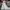 https://res.cloudinary.com/billionhands/image/upload/v1781357857/items/x2uol9pdx3b9xtxzo04a.webp-2cover