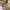 https://res.cloudinary.com/billionhands/image/upload/v1781359115/items/d90bnu7txc3wnhwhkdrw.jpg-0cover