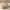 https://res.cloudinary.com/billionhands/image/upload/v1781359138/items/e1eyl0aswid5awhl74ua.webp-0cover