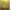 https://res.cloudinary.com/billionhands/image/upload/v1781362584/items/wvzbflkslegnl3sjgloh.jpg-2cover