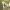https://res.cloudinary.com/billionhands/image/upload/v1781362600/items/ucm4vj900yv0swftzuvq.jpg-2cover
