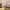 https://res.cloudinary.com/billionhands/image/upload/v1781363224/items/jmd2lppjbwgoq0zabbph.webp-1cover