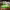 https://res.cloudinary.com/billionhands/image/upload/v1781364548/items/wxhoxlce3aumxvb9nfa8.webp-0cover