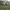 https://res.cloudinary.com/billionhands/image/upload/v1781364701/items/jrgtd77c8h72eyrb1nog.jpg-0cover