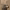 https://res.cloudinary.com/billionhands/image/upload/v1781365035/items/iizxntfoxhsrja4h0liq.jpg-1cover