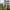 https://res.cloudinary.com/billionhands/image/upload/v1781365079/items/ceyoo9he22tsizhp1wqx.webp-3cover