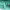 https://res.cloudinary.com/billionhands/image/upload/v1781366163/items/f8dwkcevasu13qg1wgkb.webp-2cover