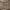 https://res.cloudinary.com/billionhands/image/upload/v1781366436/items/ewydgxzothrs0d8rspwl.jpg-1cover