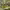 Bayou Bend Collection and Gardens cover