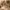 https://res.cloudinary.com/billionhands/image/upload/v1781366437/items/hhsguqnva4xcl1nrd81c.jpg-3cover