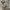 https://res.cloudinary.com/billionhands/image/upload/v1781366443/items/g2ppotll6burjbrk35x0.jpg-3cover