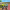https://res.cloudinary.com/billionhands/image/upload/v1781368581/items/ro2sgwxh7hha5yz8lp4c.jpg-2cover