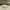 https://res.cloudinary.com/billionhands/image/upload/v1781369678/items/jqzgoxk1na6s2vqu4tti.webp-2cover