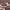 https://res.cloudinary.com/billionhands/image/upload/v1781369690/items/lar1qrlbjce8kx8smj2i.webp-1cover