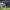 Gol de la victoria del RC Deportivo en Jornada 40 cover