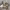 https://res.cloudinary.com/billionhands/image/upload/v1781371763/items/nrdbivxzyyeza3zmntka.jpg-2cover