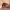 https://res.cloudinary.com/billionhands/image/upload/v1781373354/items/gomccyuoruljqu4vfwhy.webp-0cover