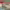 https://res.cloudinary.com/billionhands/image/upload/v1781374175/items/ux7i8vrs6izugjgh7jhv.jpg-0cover