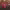 https://res.cloudinary.com/billionhands/image/upload/v1781374179/items/hoqkr9eig58qittoewv5.jpg-0cover