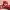 https://res.cloudinary.com/billionhands/image/upload/v1781374449/items/hqw9ofiajx8vi1k5pdgz.webp-2cover