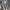https://res.cloudinary.com/billionhands/image/upload/v1781376700/items/indpuvp0xbb32jwztcim.jpg-3cover