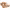 https://res.cloudinary.com/billionhands/image/upload/v1781380064/items/klw4wmtk4bzmfnfjrlyh.webp-1cover