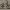 https://res.cloudinary.com/billionhands/image/upload/v1781383545/items/tetpnnxypvc07f5evall.jpg-2cover