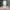 https://res.cloudinary.com/billionhands/image/upload/v1781386955/items/baem44chmjvcrz65cude.webp-3cover