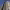 https://res.cloudinary.com/billionhands/image/upload/v1781390228/items/an63coqc1h7syag3adut.jpg-0cover