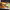 https://res.cloudinary.com/billionhands/image/upload/v1781390996/items/ym1rpvuk5sdv3rd2u8h1.jpg-1cover