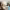 https://res.cloudinary.com/billionhands/image/upload/v1781392769/items/cagxobgdbotl2hzmcxyf.webp-0cover