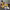https://res.cloudinary.com/billionhands/image/upload/v1781392771/items/j2ogtkklplecgutjttk3.jpg-1cover