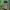 https://res.cloudinary.com/billionhands/image/upload/v1781392771/items/xcfh1bikklllt2va83pf.webp-1cover