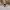 https://res.cloudinary.com/billionhands/image/upload/v1781392772/items/gskppdel2ghzcjev2mzh.avif-3cover