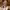 https://res.cloudinary.com/billionhands/image/upload/v1781395305/items/zhx7d7gn5r38okwerdnl.jpg-1cover