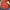 https://res.cloudinary.com/billionhands/image/upload/v1781396266/items/afxvbmrxzs6eglepfwwo.jpg-3cover