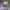 https://res.cloudinary.com/billionhands/image/upload/v1781397200/items/fvcb2w8eelmd44ehevt1.jpg-1cover