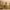 https://res.cloudinary.com/billionhands/image/upload/v1781397202/items/tscmrdix1tkhhhrlovt9.jpg-3cover