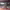https://res.cloudinary.com/billionhands/image/upload/v1781397202/items/vhy1wlax7s7qaywx8wxo.png-1cover