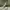 https://res.cloudinary.com/billionhands/image/upload/v1781397206/items/jpnkrsdzdiyx0porl2ka.webp-2cover