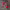 https://res.cloudinary.com/billionhands/image/upload/v1781398077/items/dt4qkgtm2ah90kyve7ur.webp-1cover